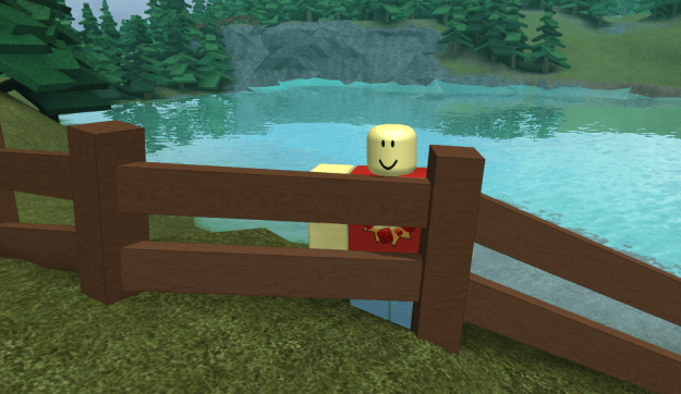 lake fence.png